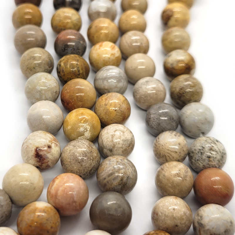 Fossil Jasper 8mm Round Beads