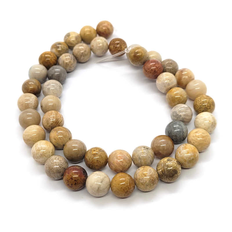 Fossil Jasper 8mm Round Beads