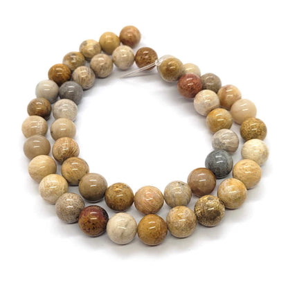 Fossil Jasper 8mm Round Beads