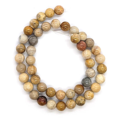 Fossil Jasper 8mm Round Beads