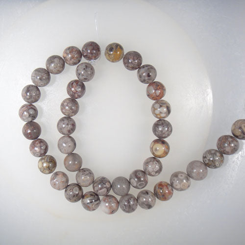 Fossil Jasper 10mm Round Beads