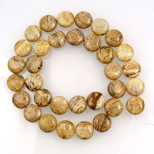 Picture Jasper 12mm Coin Beads
