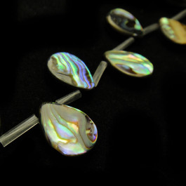 Abalone 10x14mm Drop Beads