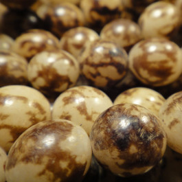 Buri Tiger Brown 10mm Round Seed Beads
