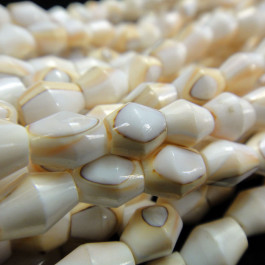Mosaic Barrel Luhuanus Shell Beads