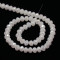 Sea Shell Electroplate 6x4mm Faceted Abacus Glass Beads