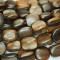 Kamagong (Tiger Ebony) Rough Chunk Wood Beads