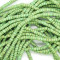 Coco Lime Green Wood 4x6mm Beads