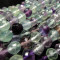 Fluorite 8mm Faceted Round Beads