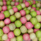 Natural White Wood Mixed Colour Beads - Lime, Rose Pink and Natural 