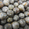 Ocean Fossil 8mm Round Beads