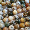 Ocean Jasper 8mm Round Beads