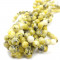 Yellow Turquoise 8mm Round Beads