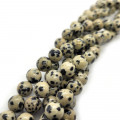 Dalmation Jasper 8mm Round Beads