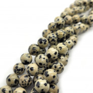 Dalmatian Jasper 8mm Round Beads