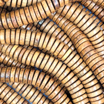 Bayong Large Pucalet Wood Beads