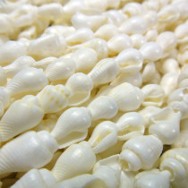 White Nassa Shell Beads