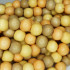 Natural White Wood Mixed Colour Beads - Apricot, Taupe and Champagne