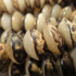 Buri Saucer Seed Beads Half Skin