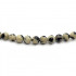 Dalmatian Jasper 4mm Round Beads
