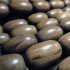 Greywood Oval Wood Beads
